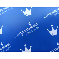 AUTOCOPIATIVO 55 gr CB 61 X...