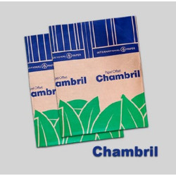 PAPEL BOND 120 GR 61 X 86...