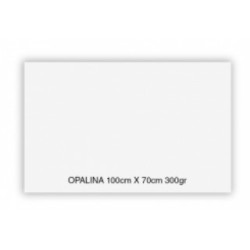 OPALINA BLANCA 300 GR 70 X...