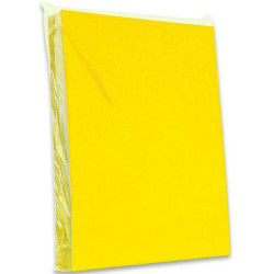 TAPA PLASTIF. LISA...