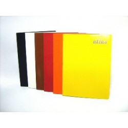 CUADERNO 80  HJS DELUXE -...
